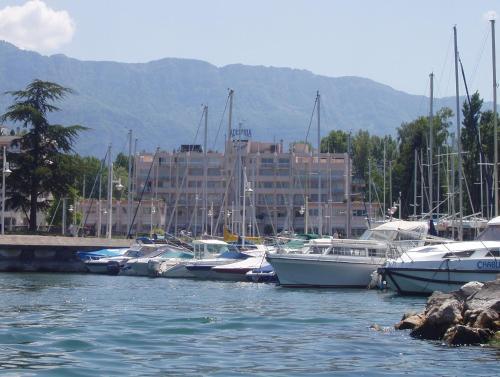 Hotel Marina D'adelphia