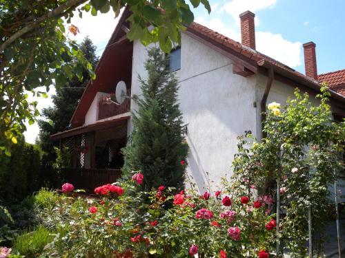 Apartment In Siofok/balaton 19664