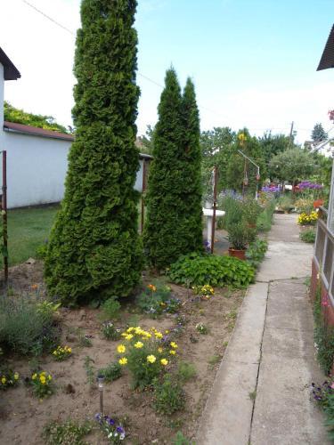 Apartment In Siofok/balaton 19723