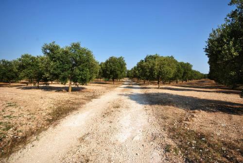 Agroturismo Tenuta Kyrios
