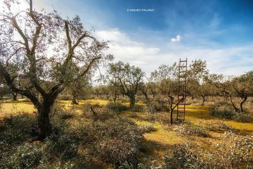 Agroturismo Tenuta Kyrios