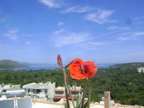 Kavousanos Apartments