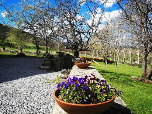 Agroturismo Finca Artienza