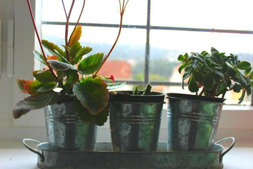 Albergue O Refuxio De La Jerezana