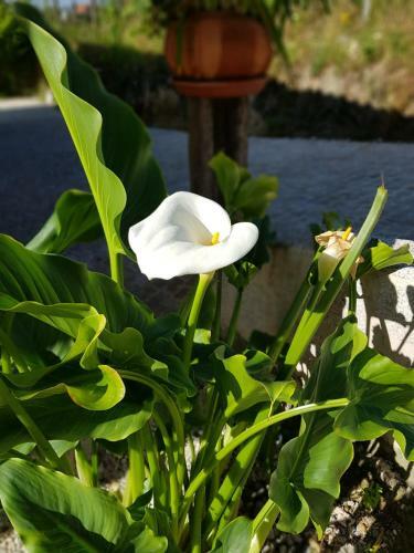Albergue O Refuxio De La Jerezana