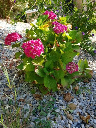 Albergue O Refuxio De La Jerezana