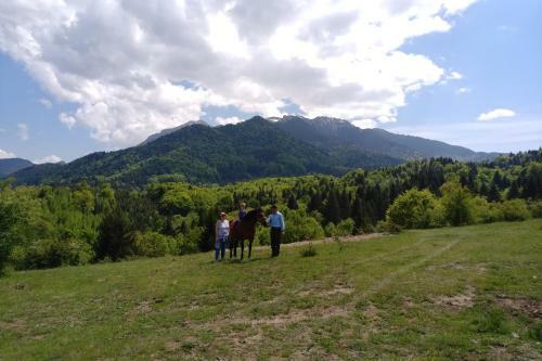 Villa Farmhouse Rosehip Romania Brasov