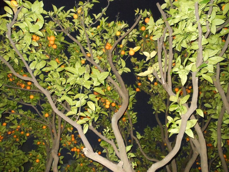 Hotel Villa Les Cygnes