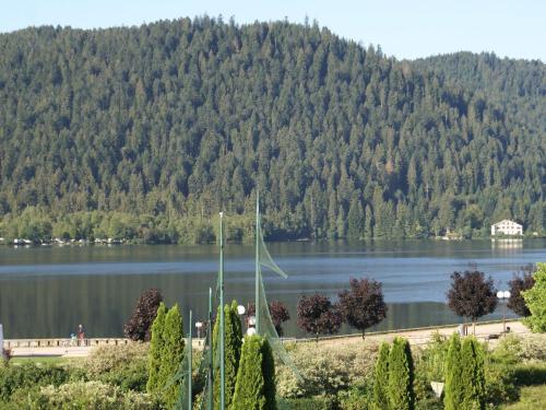 Chalet - Gerardmer