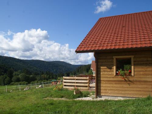 Chalet - Gerardmer