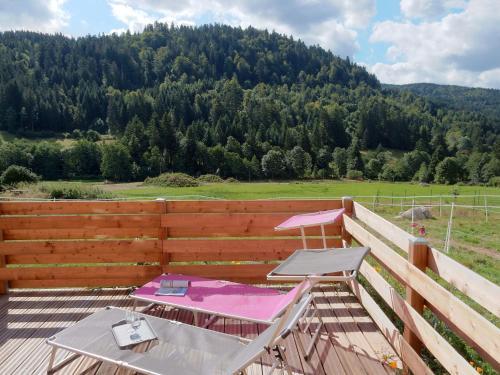 Chalet - Gerardmer