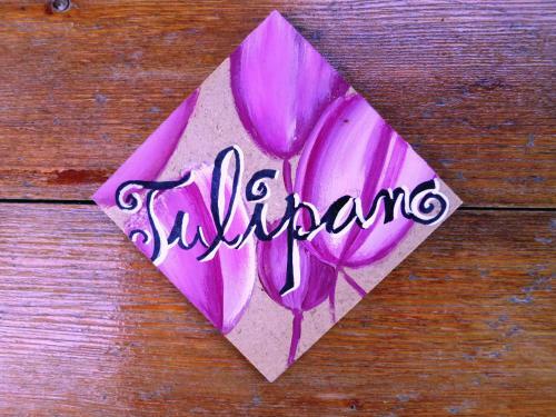 Bed & Breakfast La Casa Di Anna