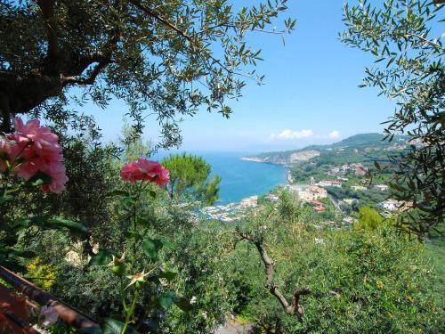 Locazione Turistica Maddalena