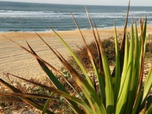 Rental Villa Ilot 28