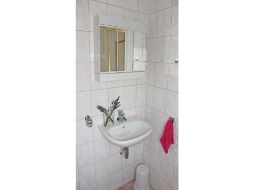 Holiday Home Nieuwlandseweg 02