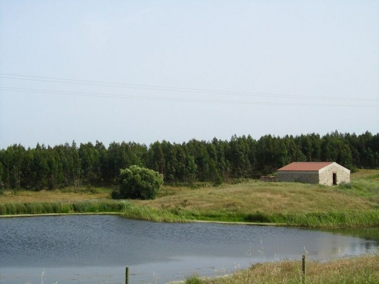 Agroturismo Casas De Mir�briga