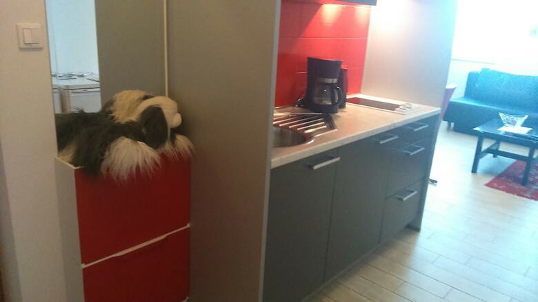 Vila Ema Apartments And Rooms