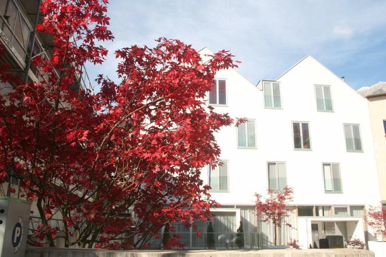 Hotel Engl