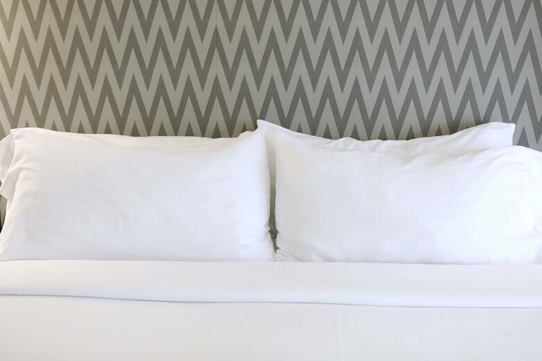 Hotel Holiday Inn Chicago O'hare Area