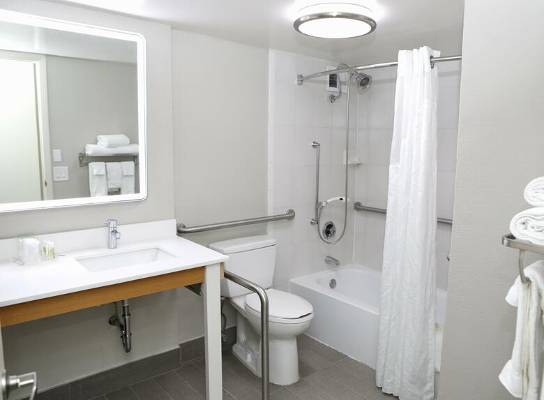 Hotel Holiday Inn Chicago O'hare Area
