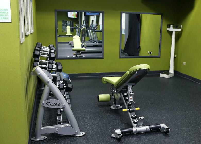 Hotel Holiday Inn Chicago O'hare Area