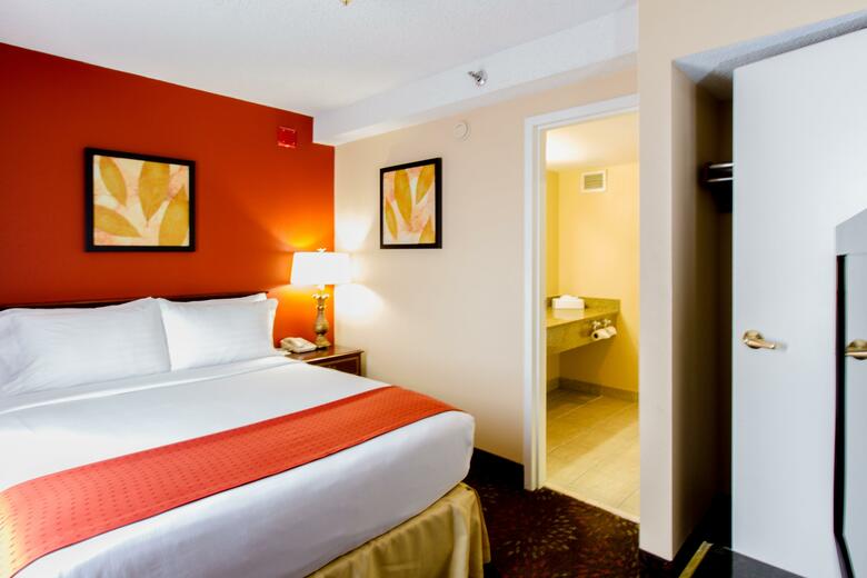 Hotel Holiday Inn Chicago O'hare Area