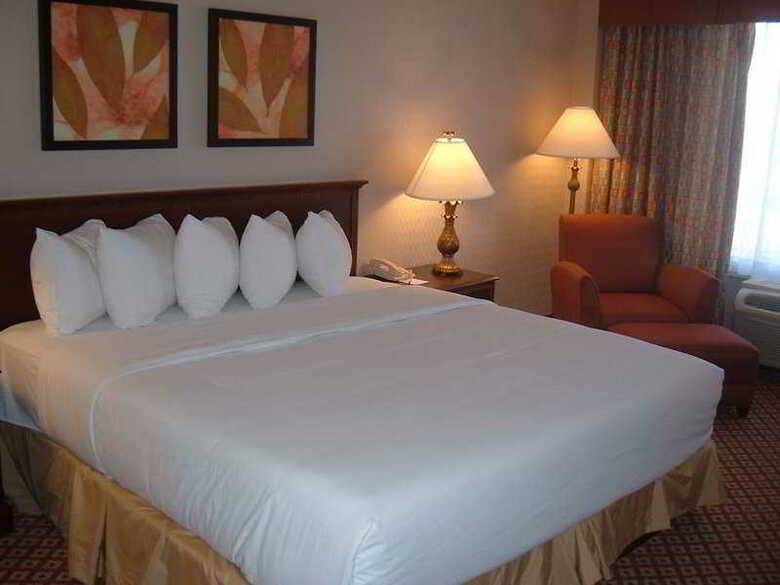 Hotel Holiday Inn Chicago O'hare Area