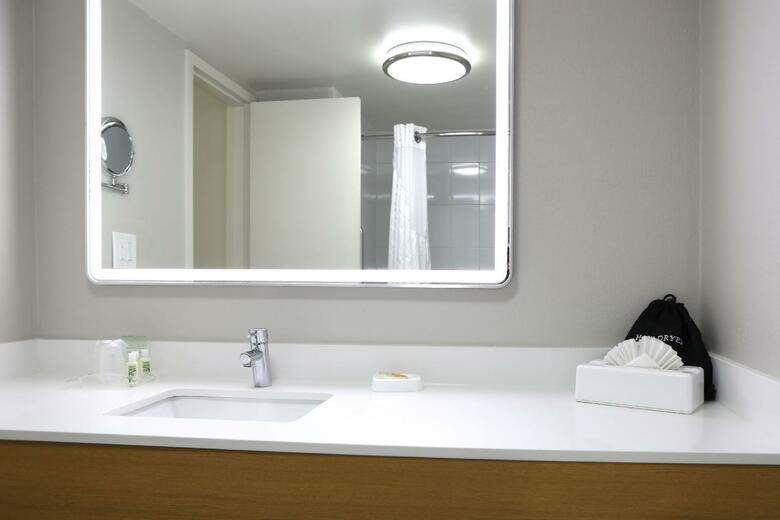 Hotel Holiday Inn Chicago O'hare Area