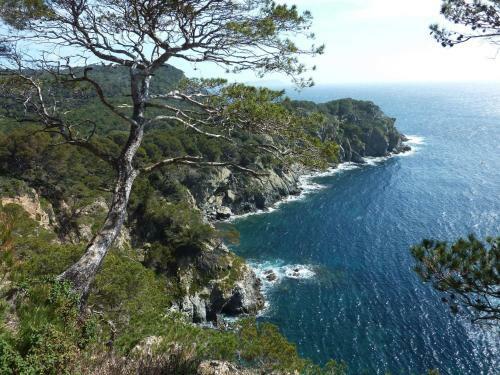 Hotel Le Mediterran�e