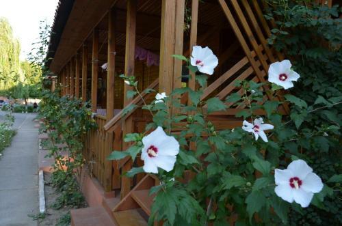 Hotel Gloriya Resort