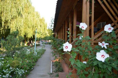 Hotel Gloriya Resort