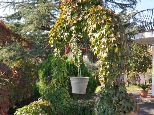 Luxurious Villa In Acireale Sicily With Private Pool