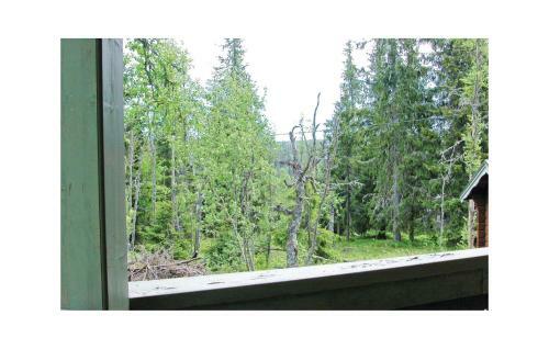 Holiday Home Hallonv�gen S�len II