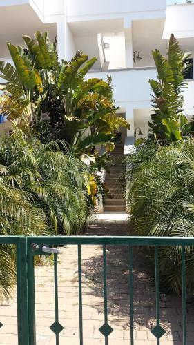 Apartamento Villetta Torre San Giovanni