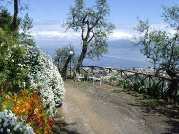 Bed & Breakfast Casarufolo Paradise