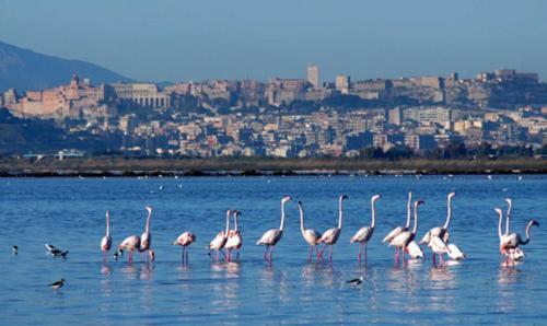 Bed & Breakfast Sardinia Domus
