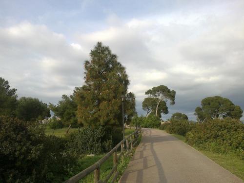 Bed & Breakfast Sardinia Domus