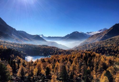 B&B Meubl� Villa Tina