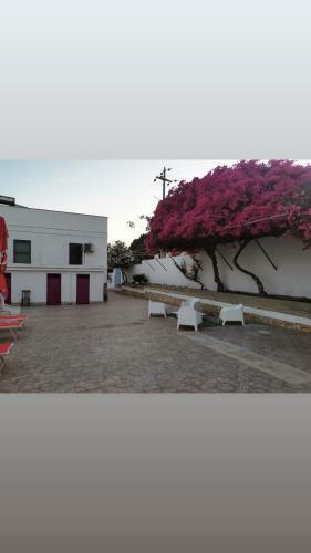 Bed & Breakfast Seccagrande Holiday Home