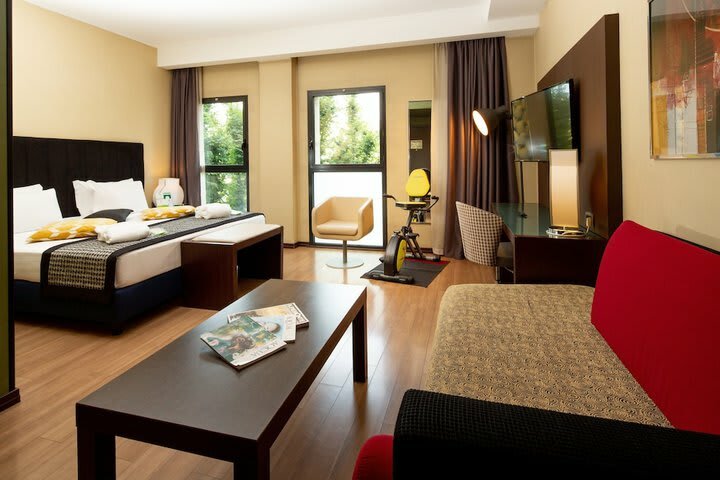 Hotel Holiday Inn Turin Corso Francia