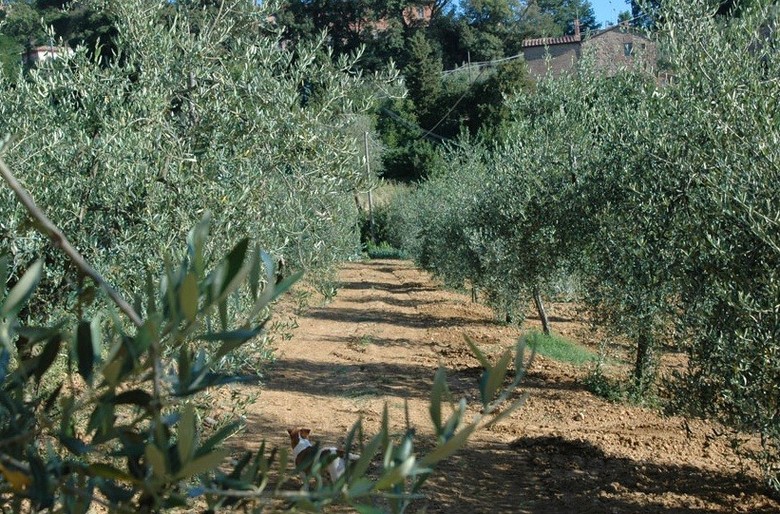 Hotel Podere Fontecastello