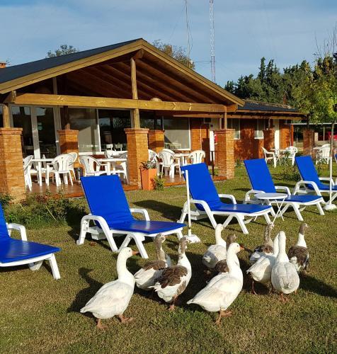Lodge La Chacra - Spa De Campo