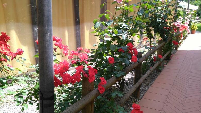 Hotel Il Molino Del Ponte