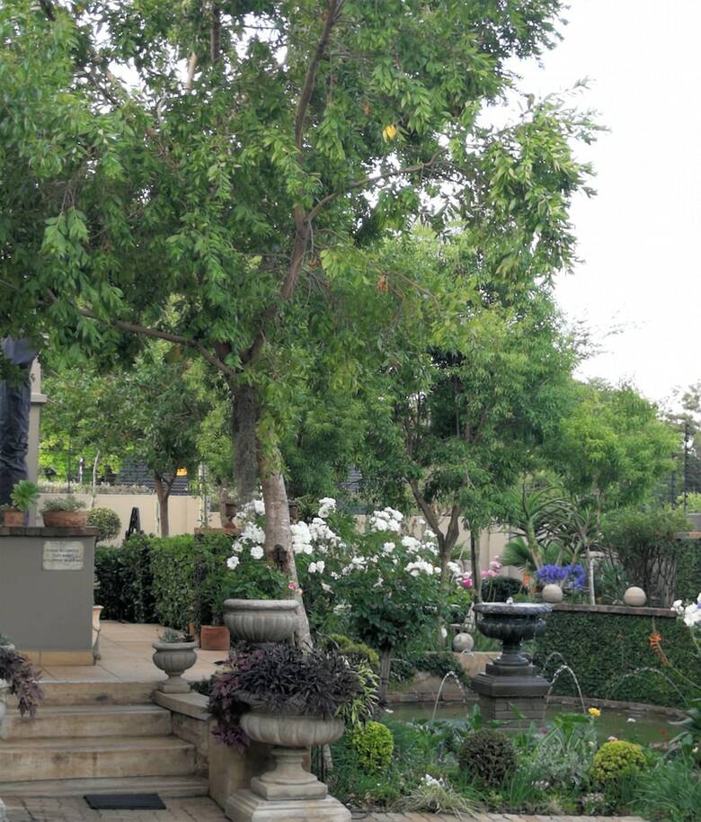 Hostal At 98 On Lynburn Guest House