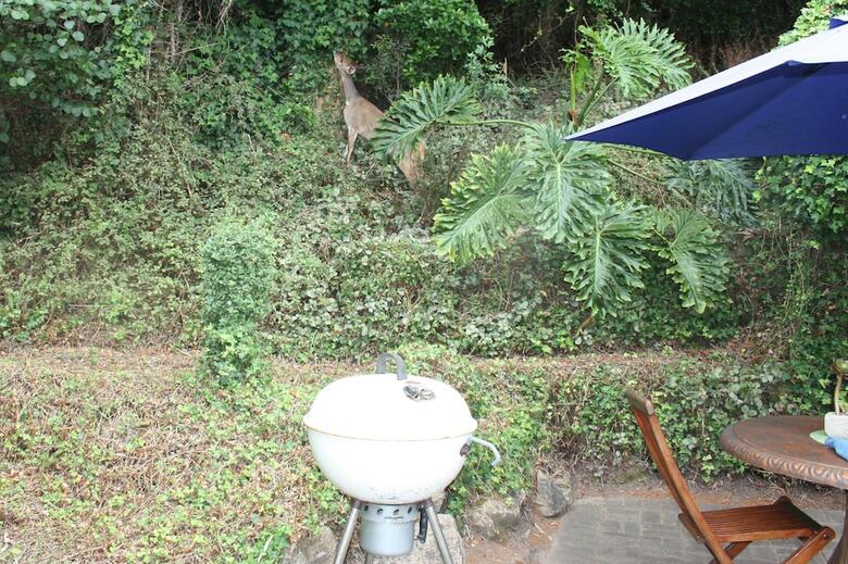 Hostal Cloverleigh Guest House
