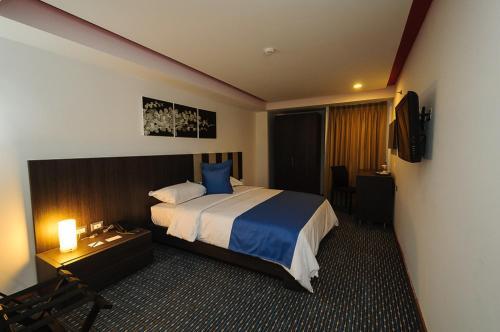 Hotel Alex Caracas