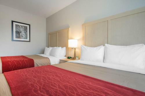 Hotel Comfort Inn & Suites