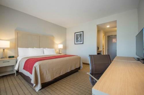 Hotel Comfort Inn & Suites
