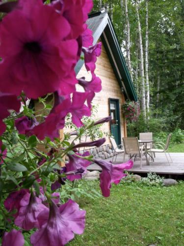 Lodge Across The Creek Cabins