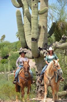 Hotel Hacienda Del Sol Ranch Resort